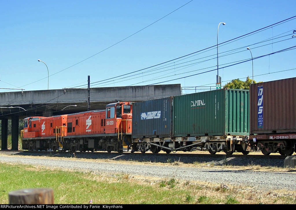 36010